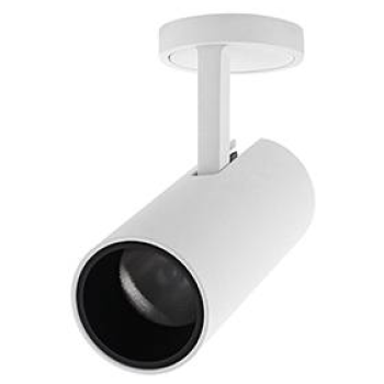  JOY RX BLANC 
