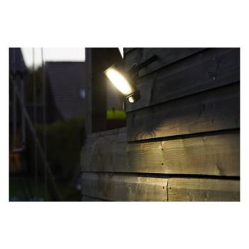  CURTIS SENSOR PLUS 50W ANTH 