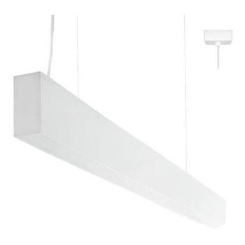  RODA P BLANC 