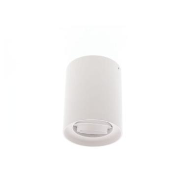  ALBA R GU10 BLANC 