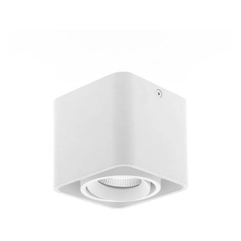  LUPO 1 BLANC 