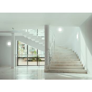  SURFACE SQ 330S 24W 3CCT IP44 