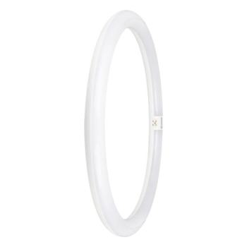 LED V T9c EM40 865 G10q 24W 