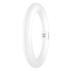  TUBE LED T9C EM 22 11W 865 G10 