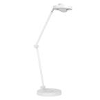  HCL WF PANAN DESK TW  ind WT 