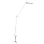  HCL WF PANAN DESK CLIP TWindWT 