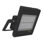  Proj FL HM 300W/757 ASYM 