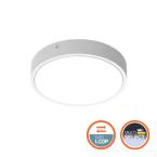  Hublot BLKH RD300 DA 16W/830ML 