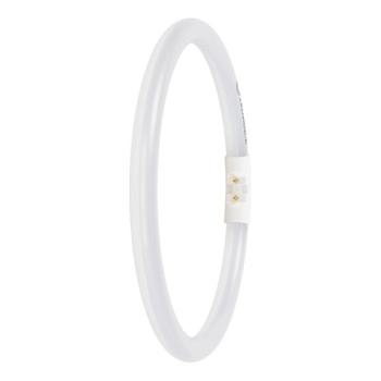  LED FC22 EXT 11.6W 840 2GX13 