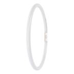  LED FC4055 EXT 21.5W 840 2GX13 
