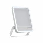 FL250 167W/830 SY100 ML IP66WT 