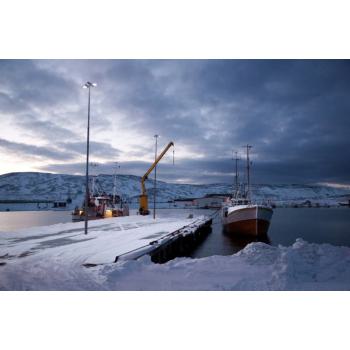  FL FLEX DA 40W/830 45x140 IP66 