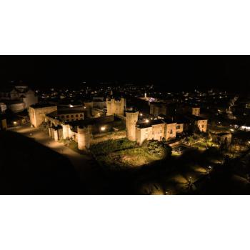  FL FLEX DA 80W/822 55x120 IP66 