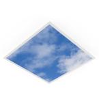  PL PRINT SKY 625 DALI 33W 