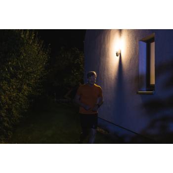  WF Wall Camera 