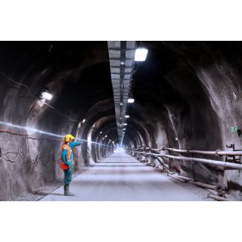  LS P AC 1300/865/50M/IP66 