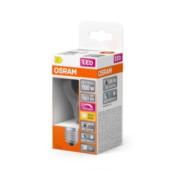  BTE1 LED SP+STD FIL 11W=100 VA 