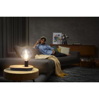  DECOR WOOD E27 NOIR 
