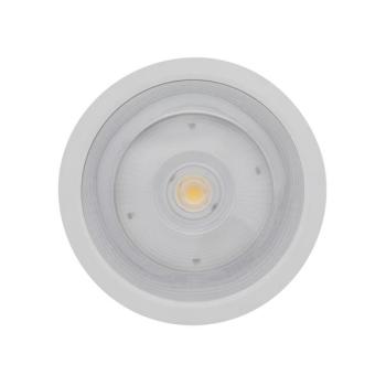  DL SF DN250 45W/830 36 IP65WT 