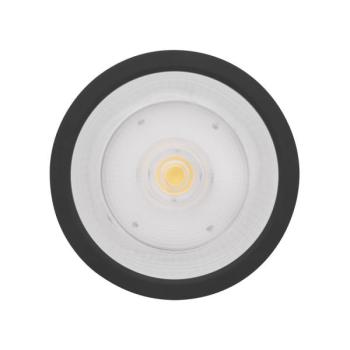  DL SF DN250 45W/830 36 IP65BK 