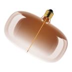  LED 1906MAG ELI T BRUN E27 