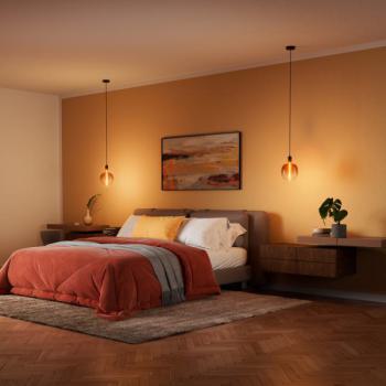  LED 1906MAG ELI T BRUN E27 