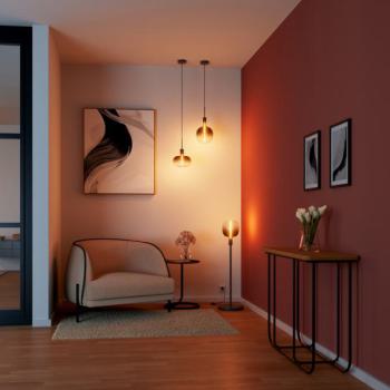  LED 1906MAG OV  Fum E27 