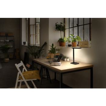  OL Desk Banker 7W/3CCT DIM BK 