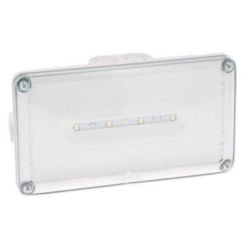  LSC AMB LEDS IP66 48VDC230VAC 