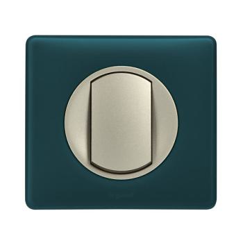  PLAQUE 1 POSTE BLEU-VERT 