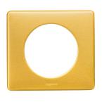  PLAQUE 1P  LAITON 