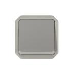  VV 10AX TEMOIN GRIS COMPO 