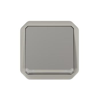  VV 10AX TEMOIN GRIS COMPO 