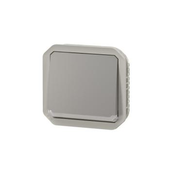  VV 10AX TEMOIN GRIS COMPO 