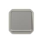  VV 10AX LUMINEUX GRIS COMPO 