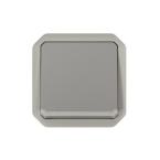  POUSSOIR NO TEMOIN GRIS COMPO 