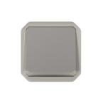  POUSSOIR INV LUM GRIS COMPO 