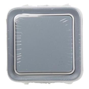  VV GRIS SAILLIE PLEXO CPT 