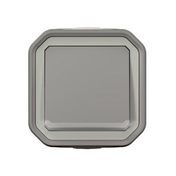  VV 10A TEMOIN GRIS SAILLIE 