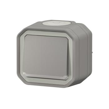  VV 10A TEMOIN GRIS SAILLIE 