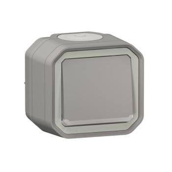  VV 10A TEMOIN GRIS SAILLIE 