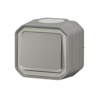  POUSSOIR NO LUM GRIS SAILLIE 