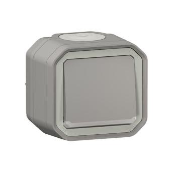  POUSSOIR NO LUM GRIS SAILLIE 