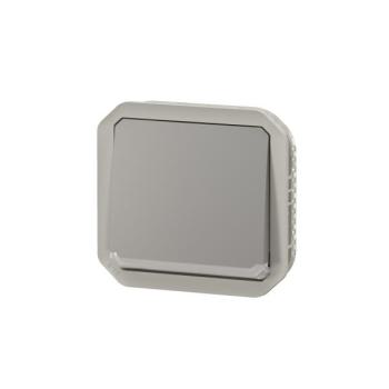  VV 10A TEMOIN GRIS COMPO 