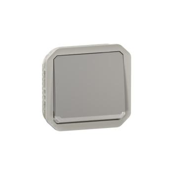  VV 10A TEMOIN GRIS COMPO 
