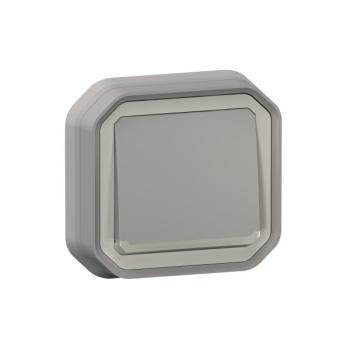  VV 10A LUM GRIS ENC GRIFFES 