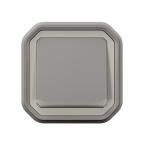  VV 10A TEMOIN GRIS ENC GRIFFES 