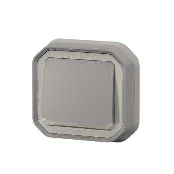  VV 10A TEMOIN GRIS ENC GRIFFES 