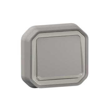  VV 10A TEMOIN GRIS ENC GRIFFES 