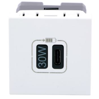  CHARG 2M 1USB C 30W BL 